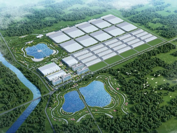 科技赋能 山东海洋渔业奏响高质量发展强音